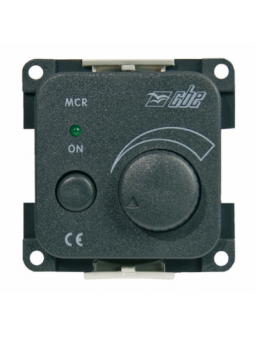 VARIATORE ELETTRONICO