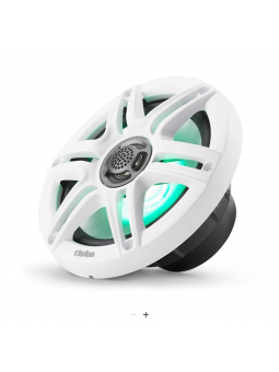 Altoparlanti Clarion...