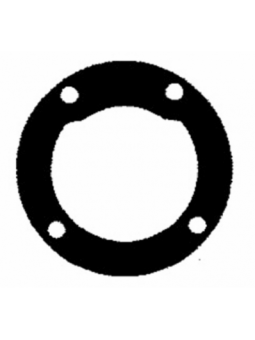 GUARNIZIONE IN CARTA