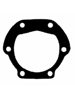 GUARNIZIONE IN CARTA