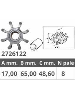 GIRANTE RENAULT 48300008