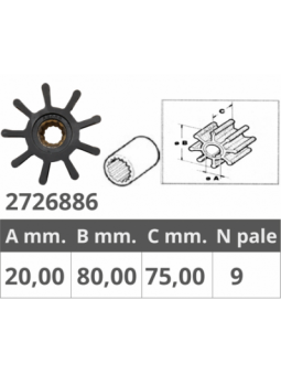 GIRANTE HYUNDAI JP 7556  S250S 1021