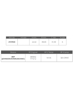 GIRANTE JOHNSON/EV. 2T V4-V6