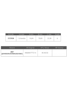 GIRANTE JOHNSON/EV. 2T 40-48-50 HP