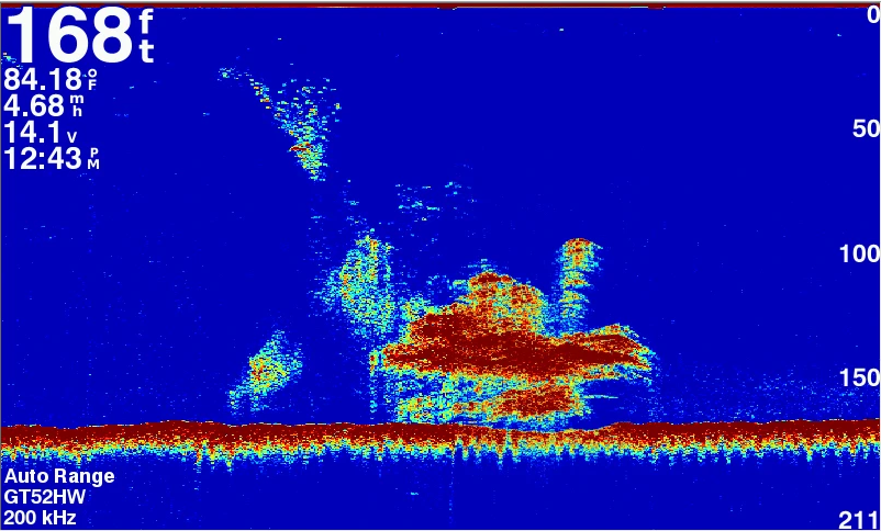 Lettura pesca Ecoscandaglio Garmin 