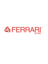 FERRARI GROUP