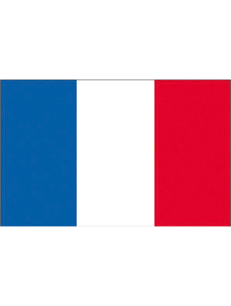 BANDIERA FRANCIA CM.70X100