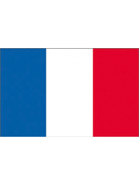 BANDIERA FRANCIA CM.70X100