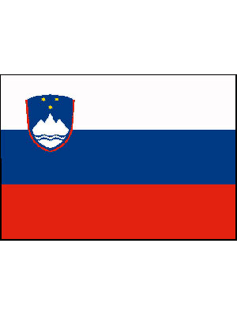 BANDIERA SLOVENIA CM.70X100